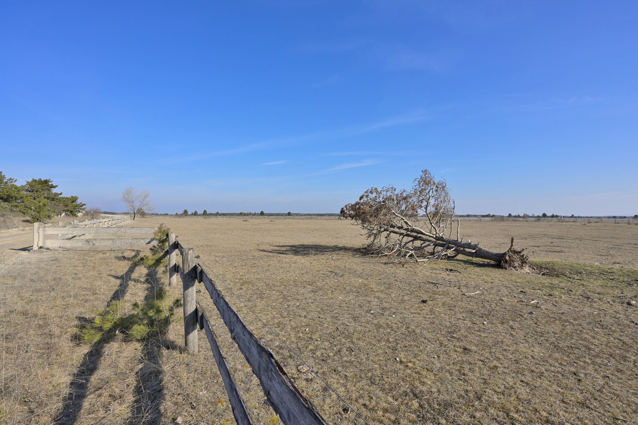 Open field area prepared for cleanup and property improvement